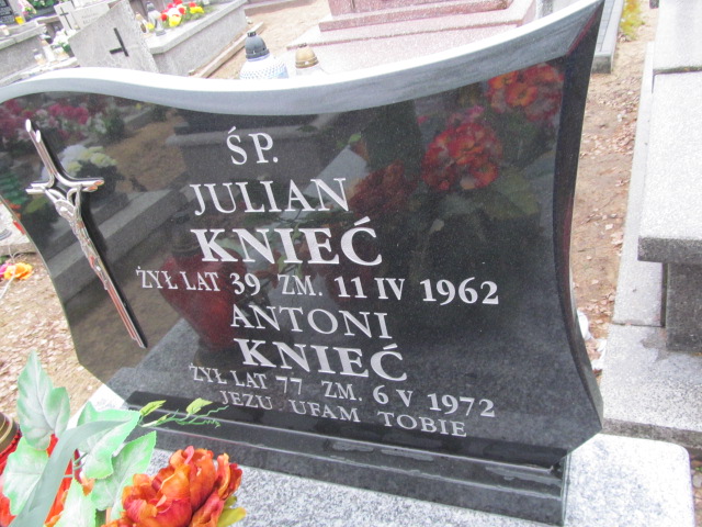 Julian Knieć 1923 Przyłęk - Grobonet - Wyszukiwarka osób pochowanych